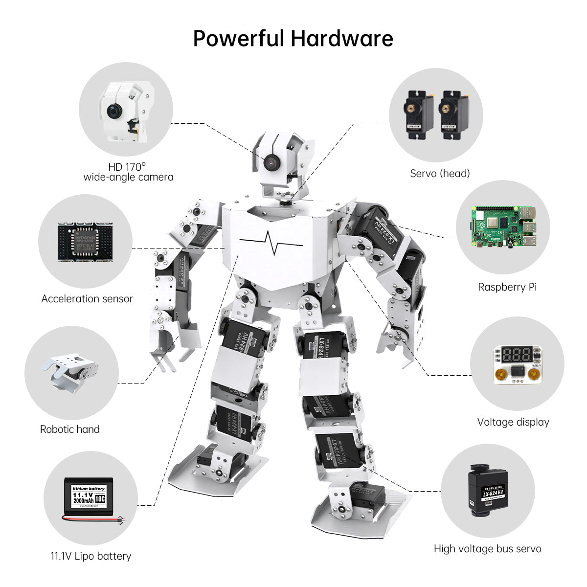 TonyPi Pro Hiwonder Humanoid Robot Professional Development Kit Powered by Raspberry Pi 5